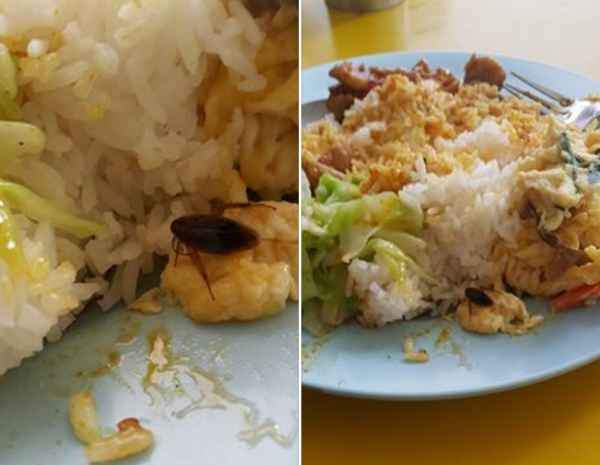 COFFEESHOP NEAR KAMPONG BAHRU HAVE BUGS IN THE RICE. BEWARE!
