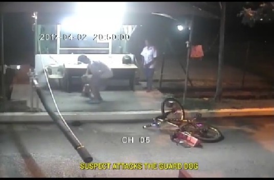 SINGAPORE MAN ABUSE DOG IN MALAYSIA. GOT AWAY WITH IT(VIDEO)