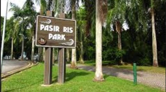 HONDA STREAM LOST! CAR MISSING FROM PASIR RIS PARK!