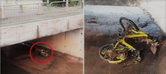 OFO BIKE WENT YISHUN AVE 4. YOU KNEW WHAT’S GONNA HAPPEN