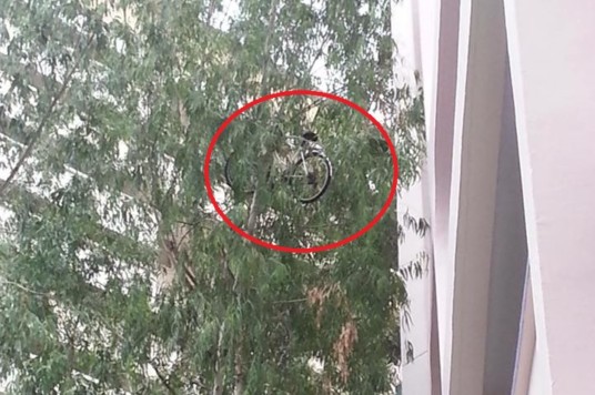 YISHUN – LOOKS LIKE SOMEONE HAD THROWN BICYCLE FROM HDB!!!