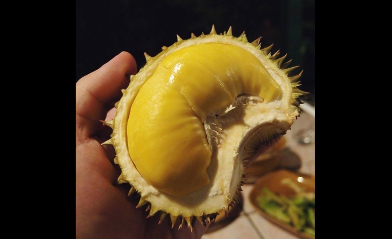 MANY PEOPLE THINK DURIAN IS NOT HEALTHY BUT THE TRUTH IS…..