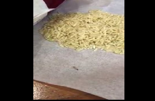 NETIZEN FOUND WORMS INSIDE BROWN RICE SOLD BY NTUC CITY SQUARE MALL. (VIDEO)