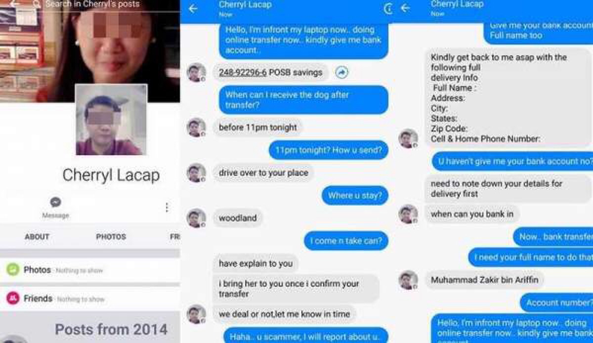 Beware of dog adoption scammer