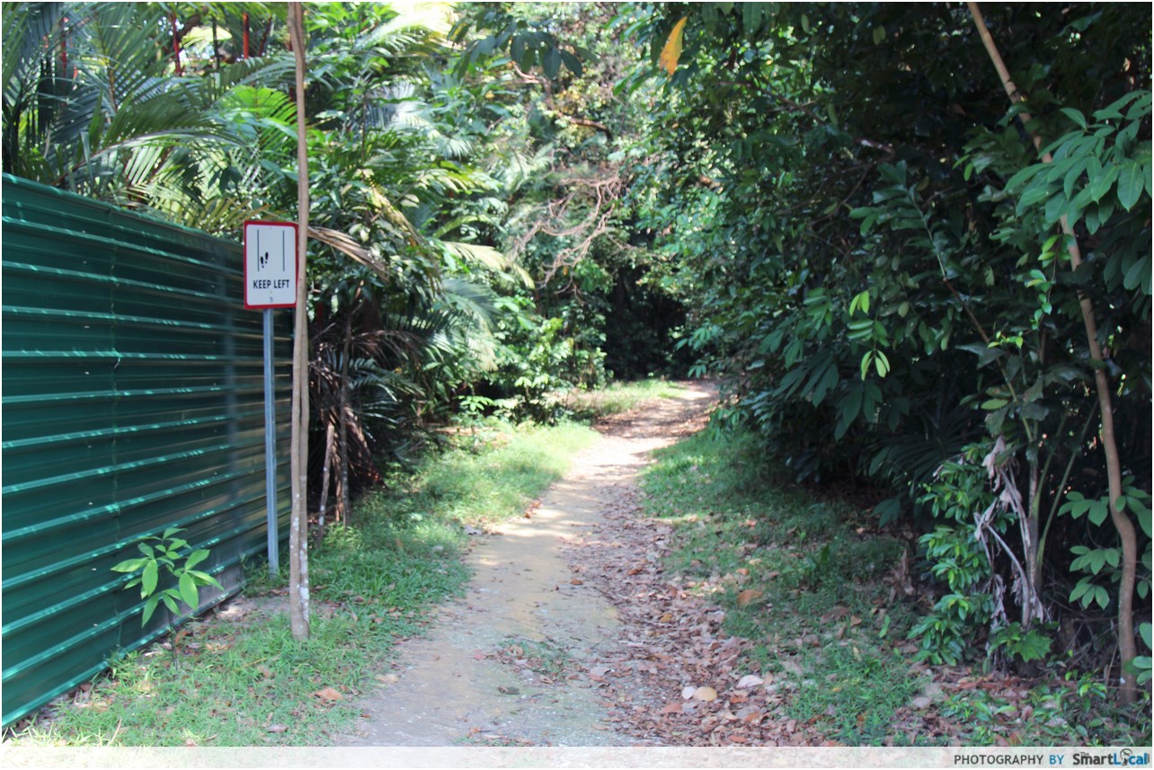 WOMAN WAS RAPED AT MACRITCHIE RESERVIOR BY CONSTRUCTION WORKER NOW FACING TRIAL