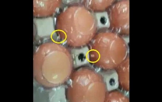 WOMAN FOUND MAGGOTS ON EGGS IN GIANT SUPERMARKET!! (VIDEO)