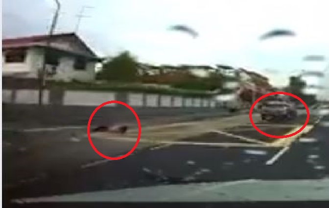 APPEALING FOR WITNESS FOR HIT AND RUN ACCIDENT AT UPPER SERANGOON! PLEASE SHARE
