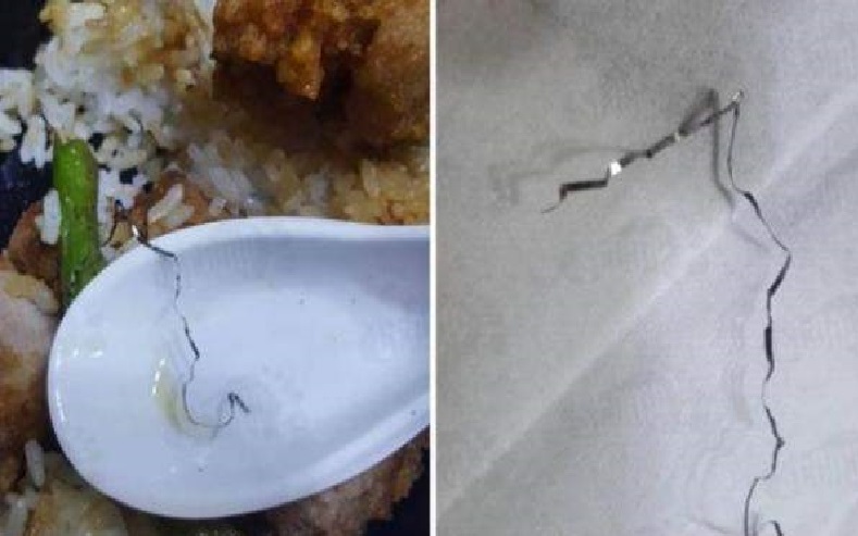 I LOVE TAIMEI @ PUNGGOL WATERWAY. LOOK WHAT NETIZEN FOUND IN THE LUNCH