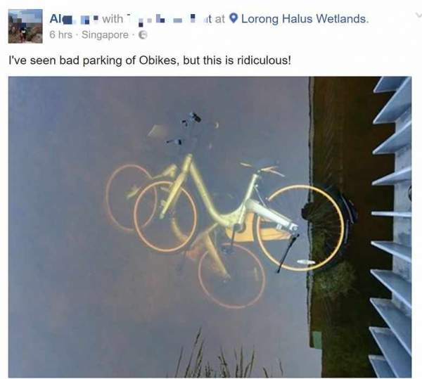 OFO BIKE IN THE WATER. SINGAPORE BOLEH?