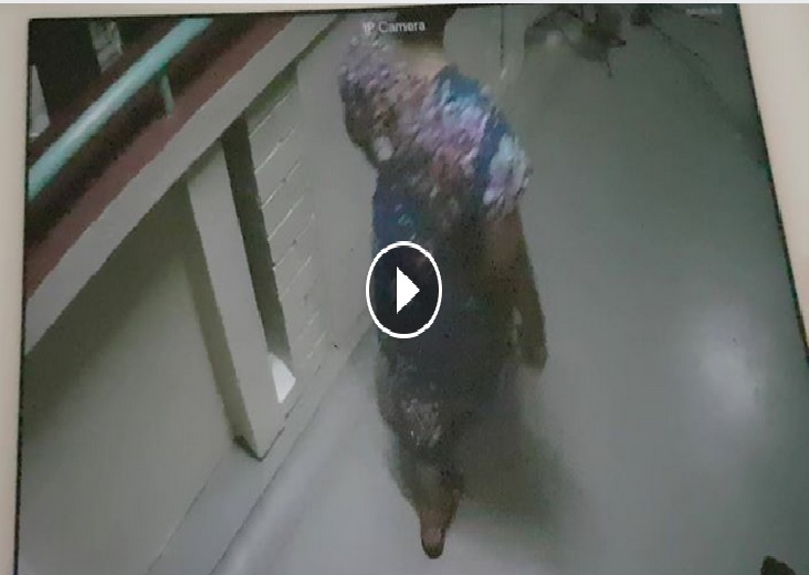 BARBARIAN NEIGHBOUR FROM HELL LOITER AND SCOLD VULGAR AT 4 AM (CCTV)
