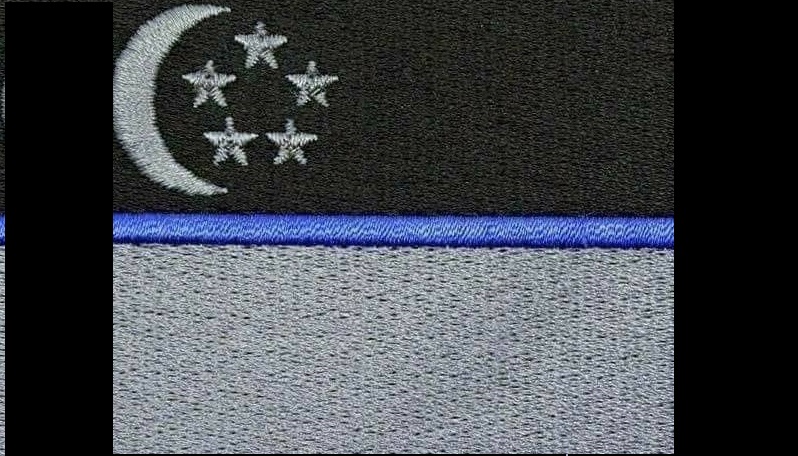 FELLOW COMARDE FELT THAT ITS DISAPPOINTING AND HEARTBREAKING TO KNOW THAT PEOPLE HAVE NO RESPECT FOR HOME TEAM OFFICERS!