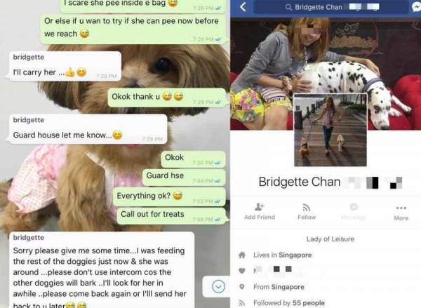 PET SITTER LOST MY DOG AND BLATANTLY LIE. IRRESPONSIBLE!