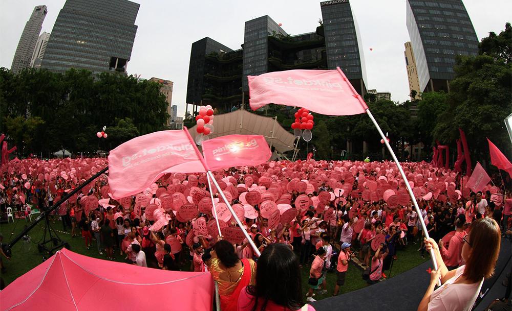 DON”T ATTEND THE PINK DOT EVENT IF YOU HAVE THE INTENTION TO CAUSE TROUBLE!! :NETIZEN SAYS
