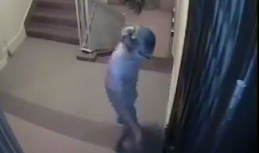 OLD LADY SPITTING AND HITTING NEIGHBOR DOOR WITH UMBRELLA (VIDEO)