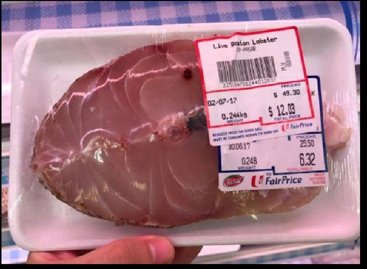 FISH LOOK LIKE LOBSTER? OR LOBSTER LOOK LIKE FISH