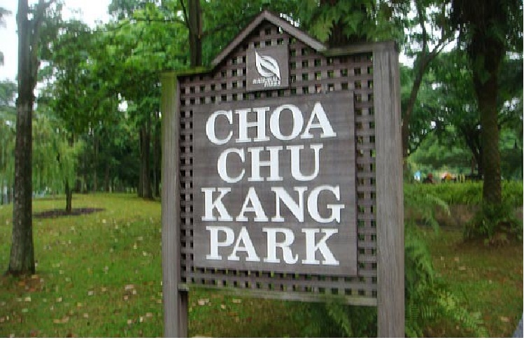 JAIL AND CANING FOR MAN ATTEMPTED RAPE OF TOURIST AT CCK PARK!!