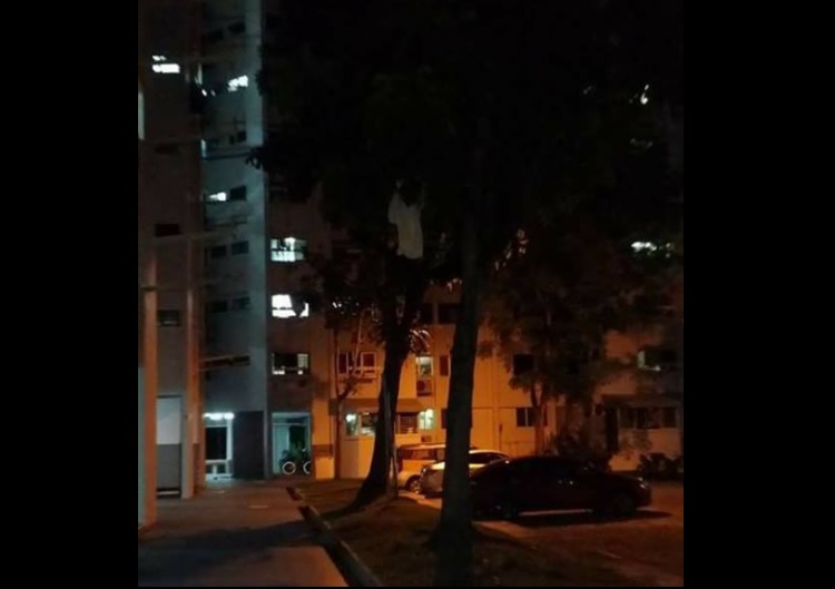 GHOST AT BUKIT BATOK. WOMAN HANGING FROM TREE!