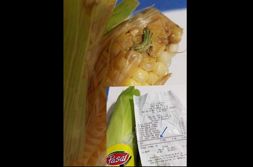 WOMAN BOUGHT WORM INFESTED CORN FROM NTUC