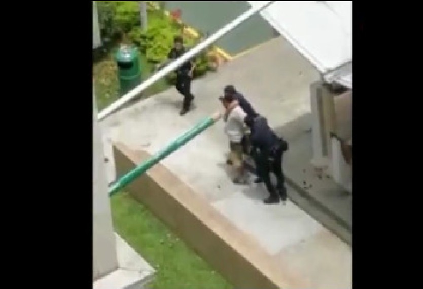 MAN TASERED AT BENDEMEER STILL MANAGE TO STRUGGLE AGAINST THE POLICE (VIDEO)