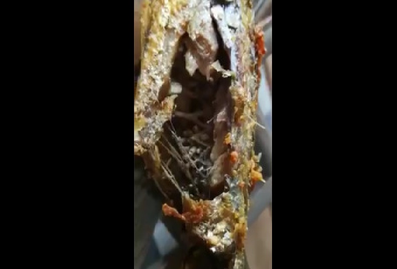 CHANGI VILLAGE MAKAN GOT BUGS IN KUNING FISH (VIDEO)