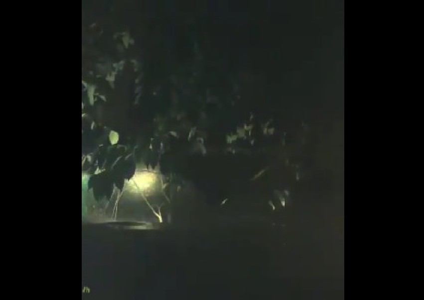 ACCIDENT AFTER VEHICLE MAKES SUDDEN U-TURN (VIDEO)