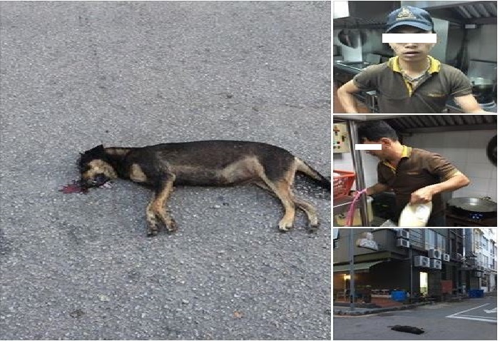 NETIZEN CLAIMS DOG GET BEATEN TO DEATH BY FNB WORKERS CAUSE IT WAS BARKING