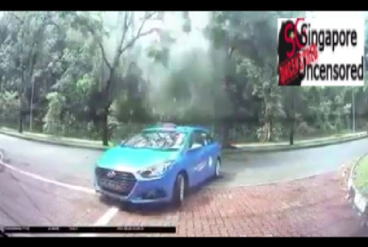 LUCKIEST TAXI DRIVER IN SINGAPORE. ESCAPED FALLING TREE (VIDEO)