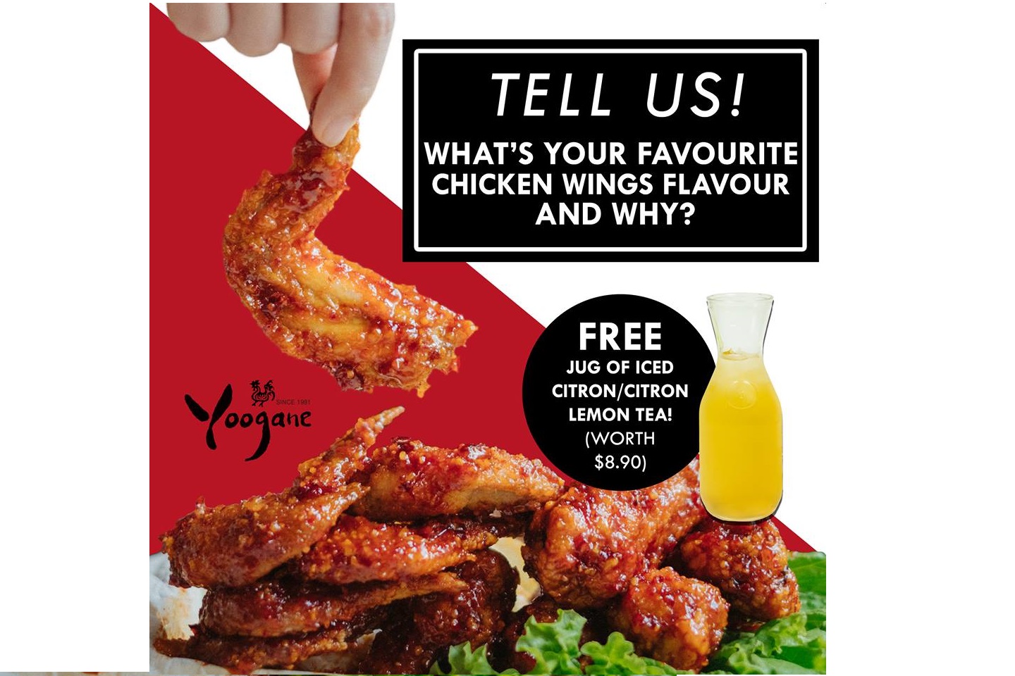 YOOGANE SINGAPORE GIVING OUT FREE JUG OF CITRON LEMON TEA CLICK FOR MORE DETAILS!
