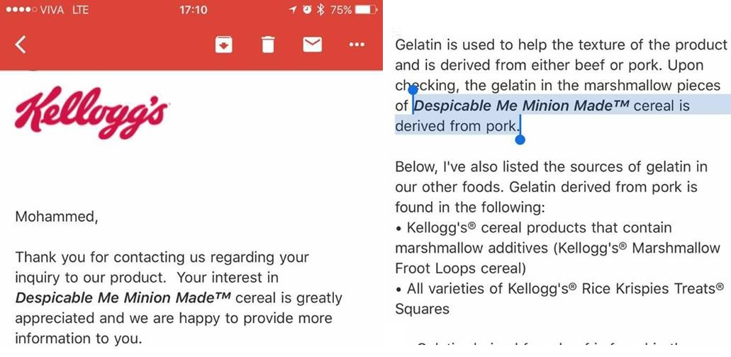 MUSLIMS PLEASE BE AWARE. KELLOGG’S DESPICABLE ME CEREAL CONTAINS PORK