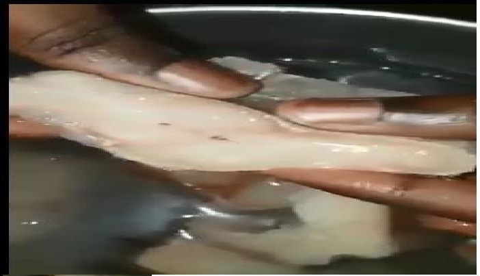 PLASTIC FISH SPOTTED IN THE MARKET! TAKE NOTE WHILE YOU SHOP FOR FISHES! (VIDEO)