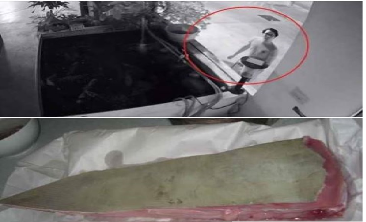 PLEASE HELP TO SHARE TO IDENTIFY THIS STINGRAY THIEF!