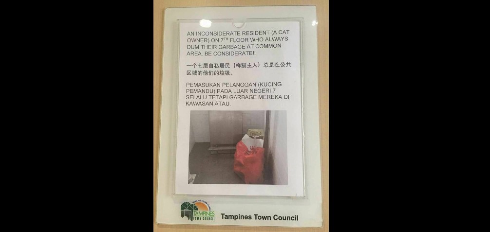 GOOGLE TRANSLATION FAIL FROM TOWN COUNCIL?