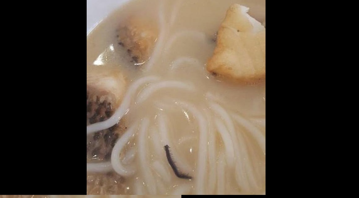 BABY CENTIPEDE FOUND IN FISH NOODLE SOUP @ STALL AT BALESTIER!!