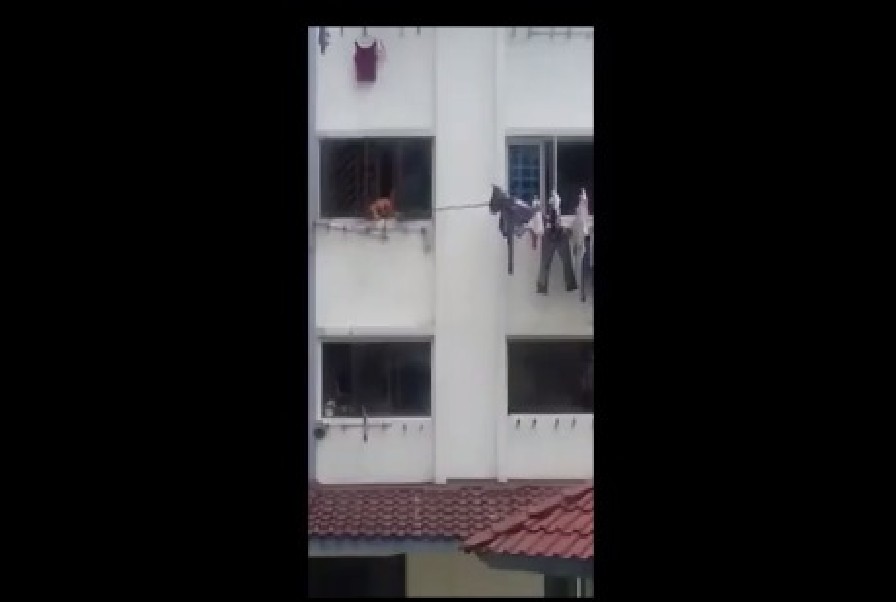 NEIGHBOR FROM HELL. AUNTIE USE BAMBOO POLE TO DISTURB NEXT DOOR’S CLOTHING