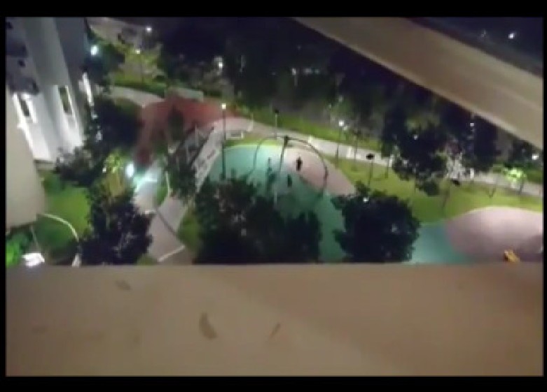 YOUNG PUNKS BEHAVING LIKE MONKEY IN MIDDLE OF NIGHT! (VIDEO)