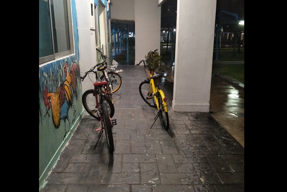 IDIOTS ANYHOW PARK BICYCLE. WHEELCHAIR BOUND CANNOT PASS