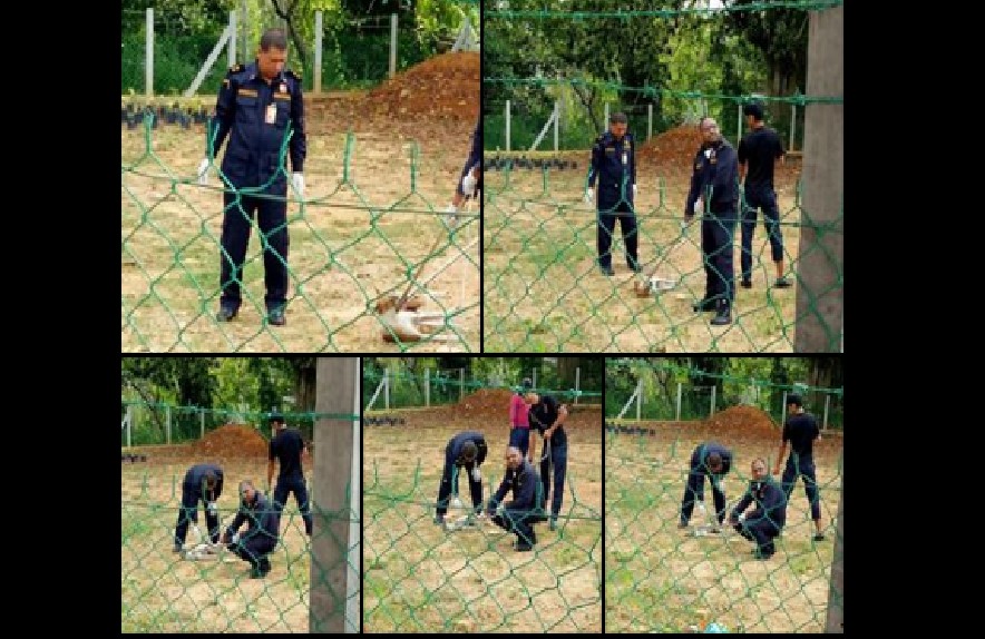 MALAYSIAN WOMAN CALLED AUTHORITIES TO RESCUE DOG. THEY KILLED IT INSTEAD