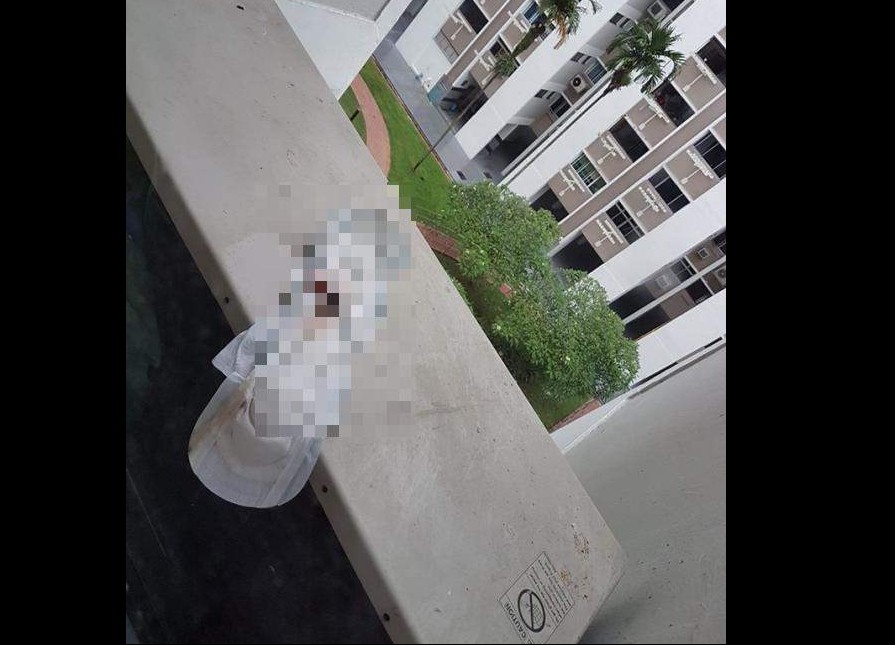 NEIGHBOR THROWS SOILED PAD FROM WINDOW. RESIDENTS SUFFER