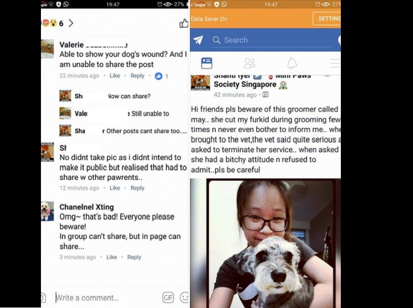 DOG GROOMER CLAIMS SHE GET GETS DEFAMED BY “FAKE FB ACCOUNT” STATING SHE INNOCENCE!