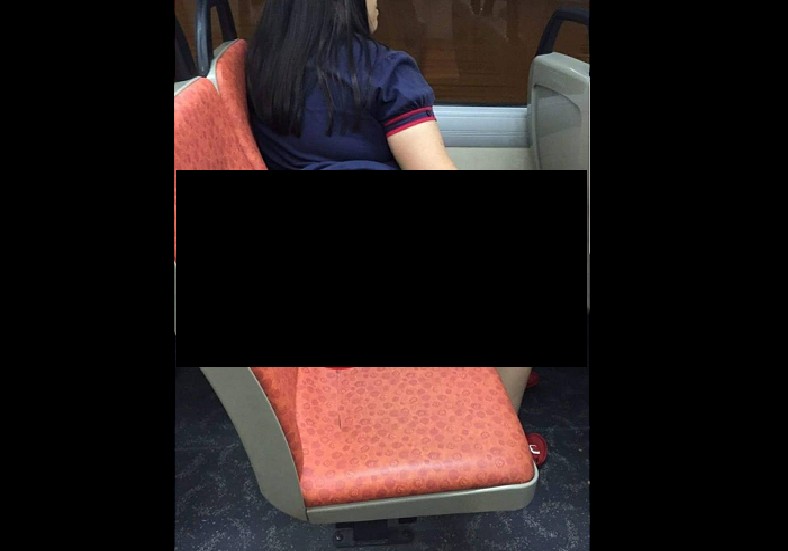 PERVERT/MENTAL WOMAN NOT WEARING UNDERWEAR ON PUBLIC BUS