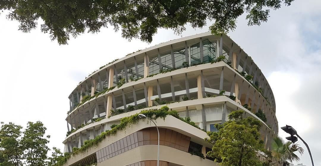 NETIZEN FEELS THAT ISSUE AND PROBLEMS ARE BEING SWEPT UNDER THE CARPET INSTEAD OF FINDIND SOLUTIONS TO IT!