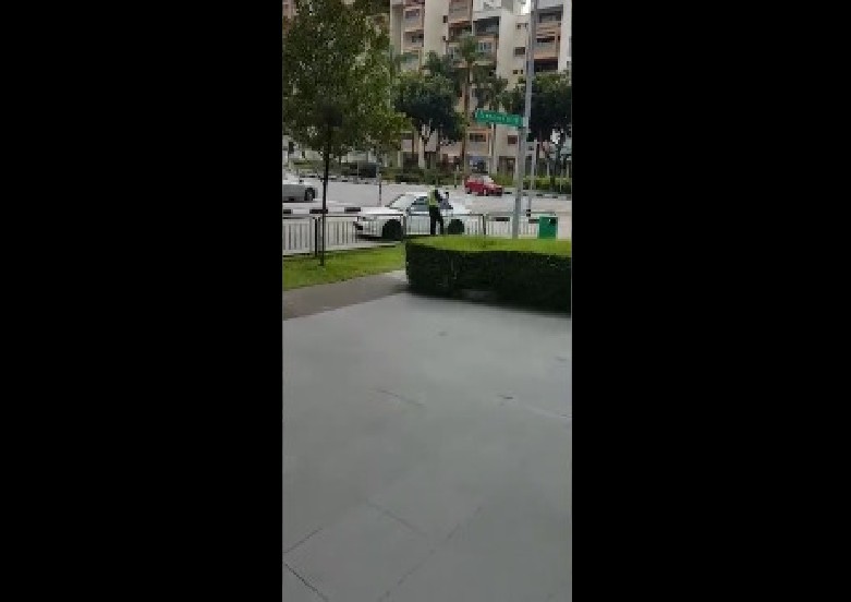 LTA NINJA CATCHING CARS THAT CROSS ZEBRA CROSSING LINE. (VIDEO)