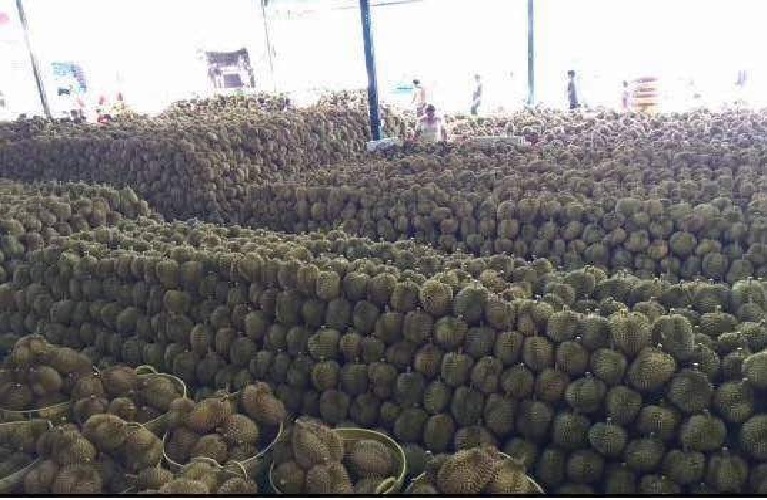 NETIZEN CLAIMS THAT CHINA REJECTED MORE 20 CONTAINERS OF DURIAN FROM M’SIA DUE HIGH LEVEL OF INSECTICIDE
