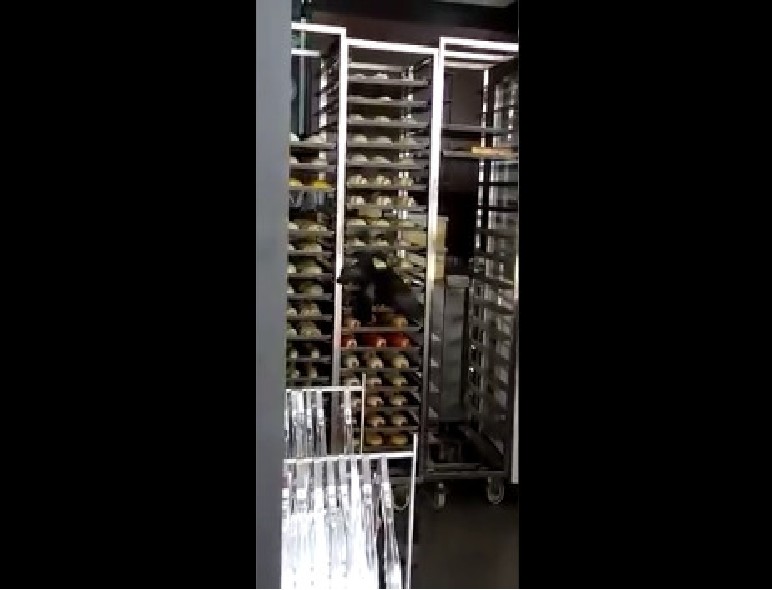PIGEONS ENJOYING THOUSAND DELI BAKERY AT HOUGANG CENTRAL (VIDEO)