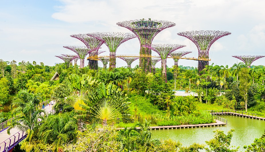SINGAPOREAN CAUGHT BY SURPRISE. GARDEN BY THE BAY MUST PAY $10