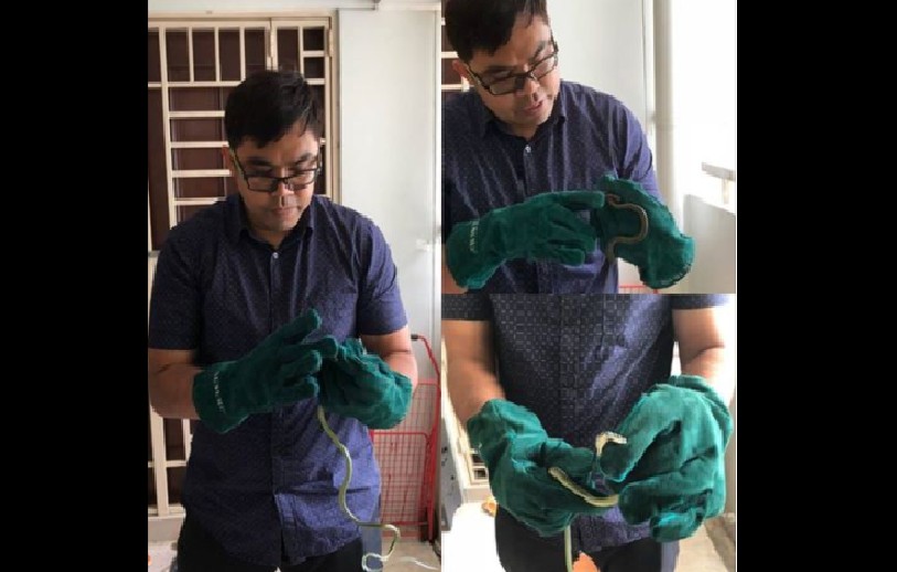 POLICEMAN HELP CATCH SNAKE EVEN BEFORE AVA ARRIVES. KUDOS TO THIS MAN!