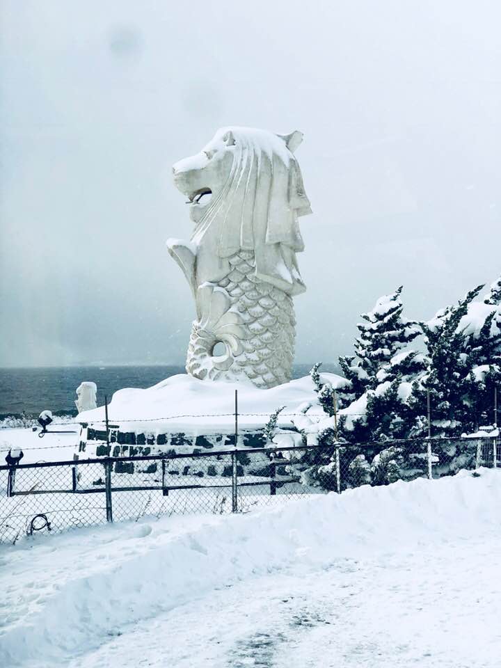 Merlion Found Hakodate In Hokkaido Wow Merlion Going Places