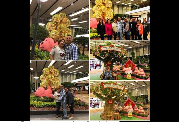 CHANGI AIRPORT EXPERIENCE LEFT A VISITOR FROM OTHER COUNTRY IMPRESSED!