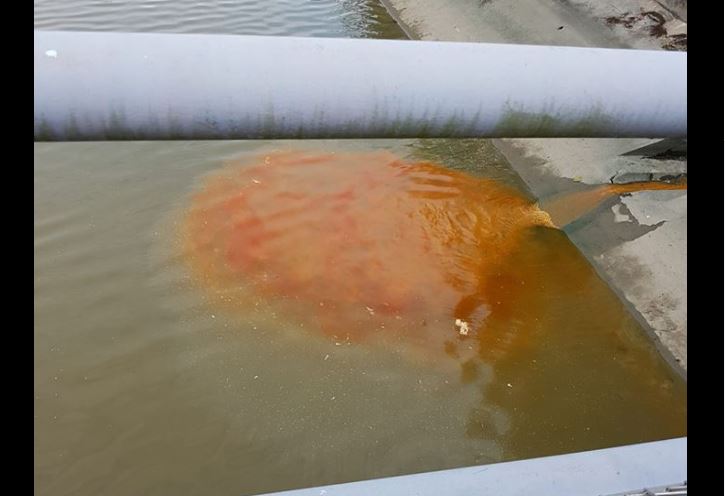 RUBBISH WEDDING CATERER POUR LEFT OVER CURRY INTO RIVER @ PASIR RIS