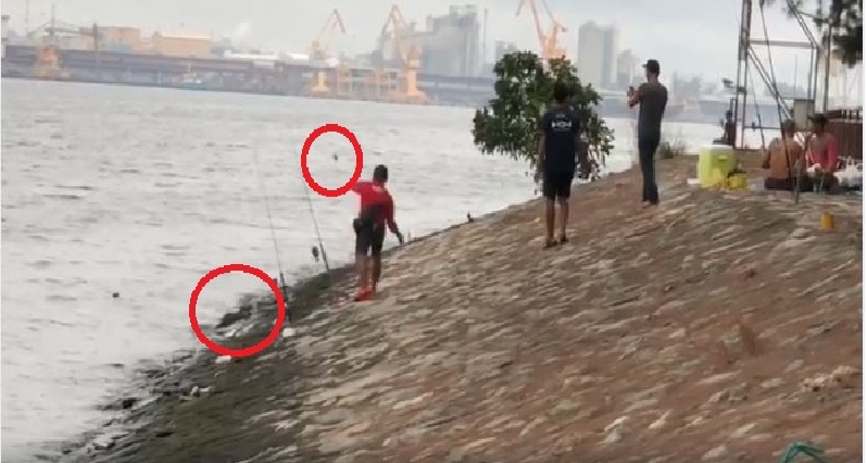 CAUGHT ON TAPE! MAN SEEN THROWING STONES AT HARMLESS OTTER! (VIDEO) CAUGHT ON TAPE! MAN SEEN THROWING STONES AT HARMLESS OTTER! (VIDEO)